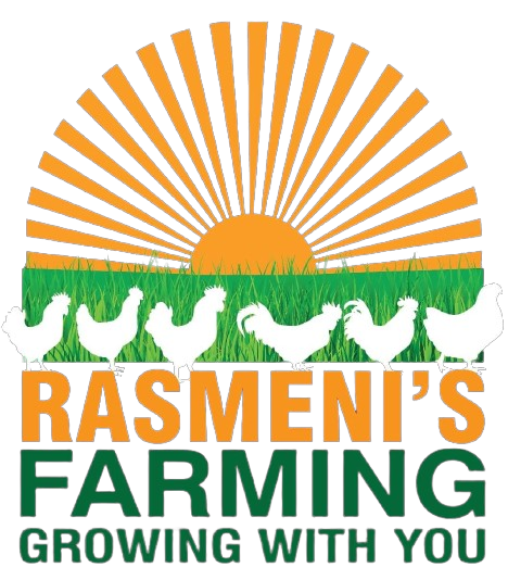 WhatsApp_Image_2024-06-18_at_18.03.29-removebg-preview