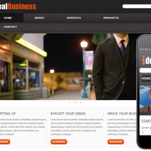Standard Company website
